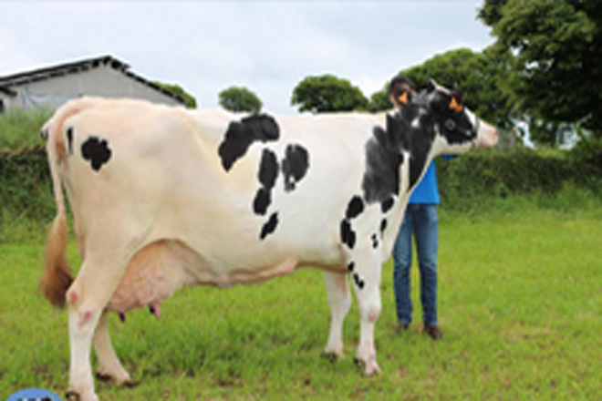 Las Africores de Galicia acuerdan ampliar hasta 20 los controles por lactación
