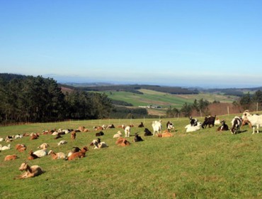 ‘Galicia Emprende Rural’ achegará axudas a 70 proxectos de autónomos e emprendedores