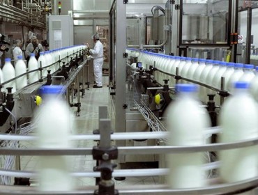 Cales son as industrias lácteas que controlan o mercado español?
