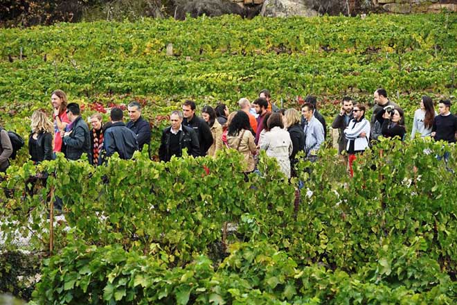 Xa está en marcha a Primavera de portas abertas nos Roteiros dos Viños de Galicia