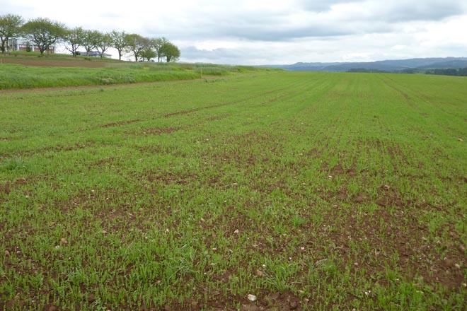Recomendaciones del Ciam para la fertilización de prados y praderas