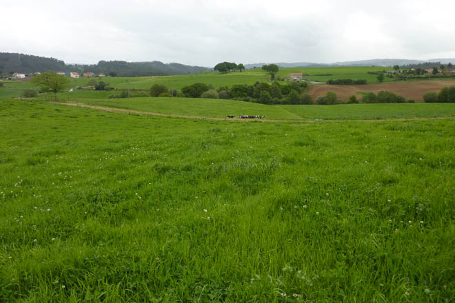 Os obstáculos á mobilidade das terras agrarias en Galicia