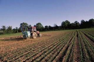 Europa proxecta limitar o uso de produtos fitosanitarios no próximo periodo da PAC