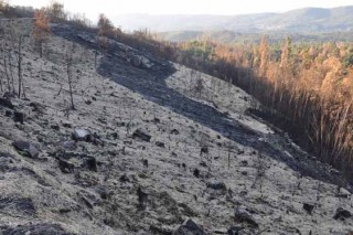 Aplicarase ‘helimulching’ con palla en 166 hectáreas dos incendios de Ourense