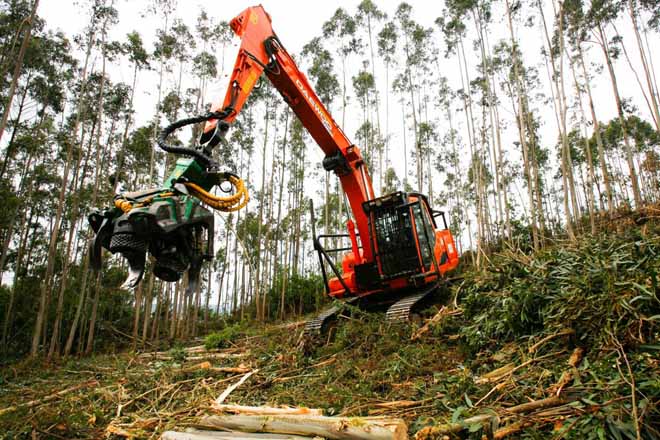 Novos acordos de abastecemento de Ence con propietarios forestais
