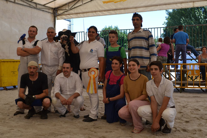 Gandeiría Manteiga alzouse cos premios de Vaca Gran Campiona de Feiradeza 2015 e de Mellor Criador