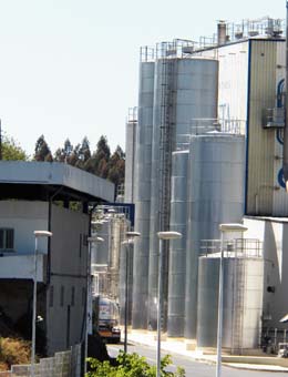 O freo das entregas de leite en Galicia preocupa no sector produtor