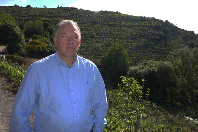 «Ribeira Sacra debe centrarse en vinos jóvenes de Mencía, el resto son experimentos»