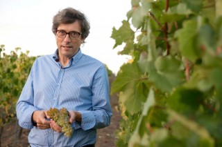 “Galicia debería ter unha gran denominación de orixe para os seus viños”