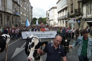 15.000 persoas en Santiago e máis de 4.000 en Lugo esixen solucións ao prezo do leite