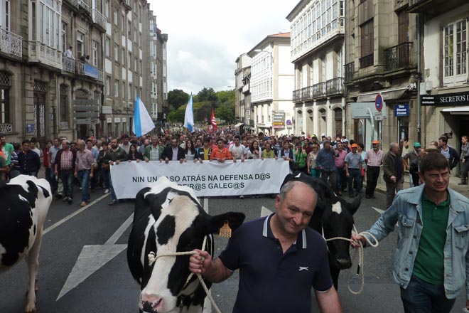 15.000 personas en Santiago y más de 4.000 en Lugo exigen soluciones al precio de la leche