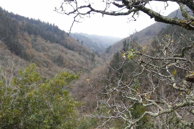 Aprobadas as axudas para crear 16 parques forestais en Pontevedra