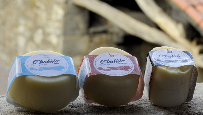 Presentan aos World Cheese Awords o primeiro queixo galego de ovella curado