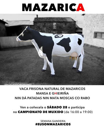 Mazaricos celebra este sábado a Xornada Técnica do Sector Lácteo e o domingo a poxa de xovencas
