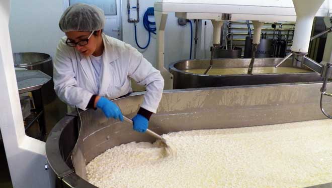 Cobideza, nuevos pasos en la transformación industrial de la leche