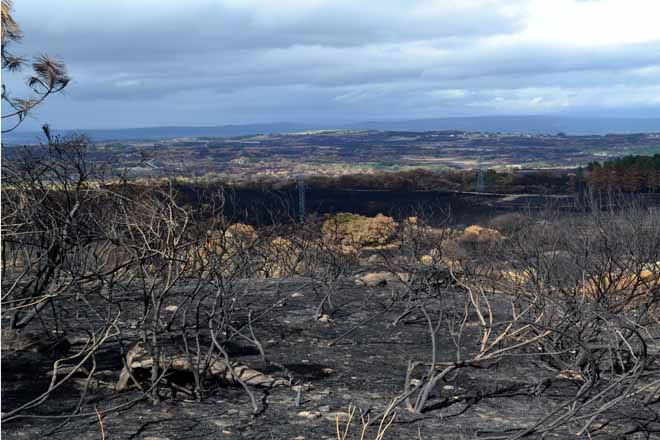 Decálogo básico para a prevención de lumes forestais