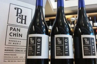 Adega Panchín: o viño producido máis ao norte de Galicia