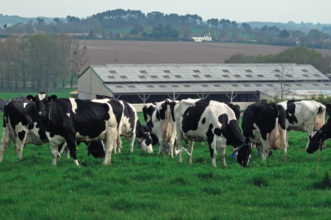A EFA Fonteboa organiza unha viaxe a Francia para coñecer o seu sector produtor de leite