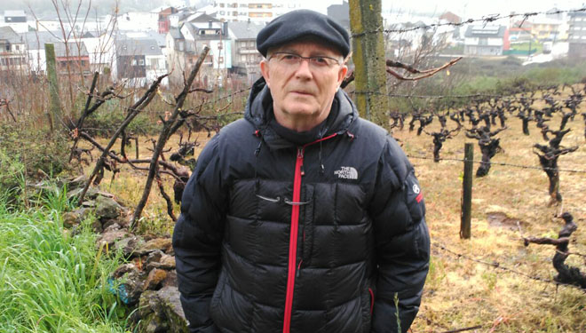 “Pedimos á Xunta que incremente un 20% os rendementos de uva autorizados para a D.O. Valdeorras”