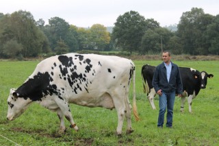 “Se logramos unir as cooperativas da Cornixa Cantábrica xestionaríamos máis do 50% do leite de España”