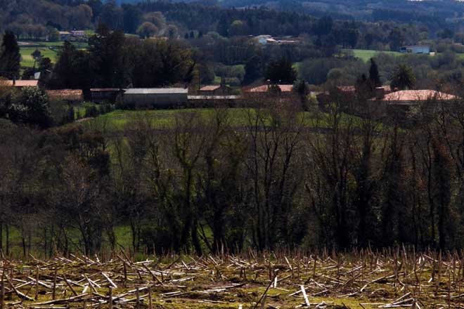 Arredor de 200 granxas de Lugo, en risco de perder axudas pola Lei do Solo