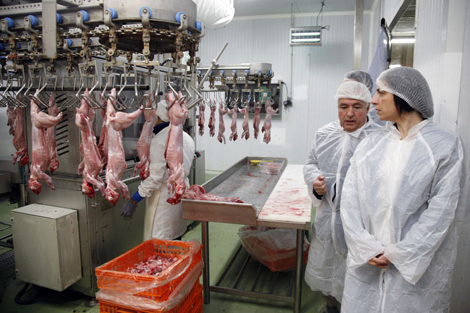 Imponse o acordo entre produtores e industria no sector do coello para superar a crise