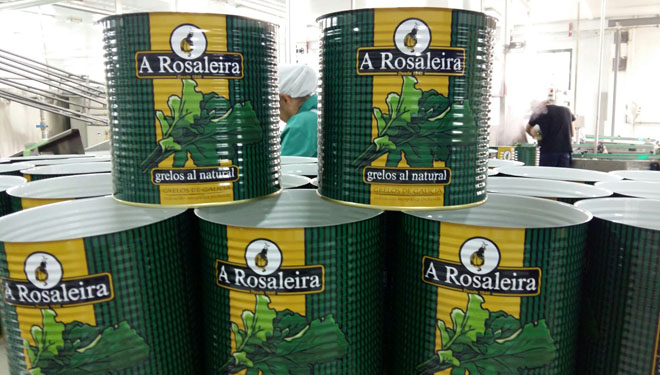 A Rosaleira, grelos de Galicia que saben como os da casa