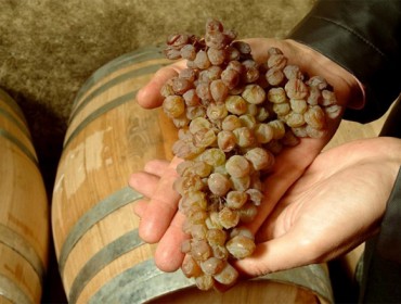 “O viño tostado é un tesouro enolóxico de Galicia”
