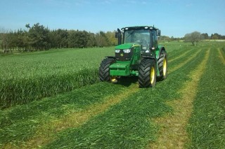 En 2016 volveu baixar a calidade dos ensilados de herba en Galicia