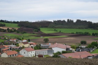 As comarcas con máis gandería son as que menos poboación perden no rural galego