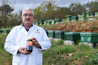 Mieles Anta asina contratos con apicultores galegos a entre 3 e 5 anos
