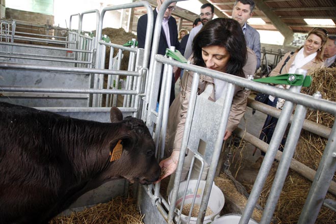Nuevo ciclo en Sergude de técnico superior en ganadería y asistencia en sanidad animal