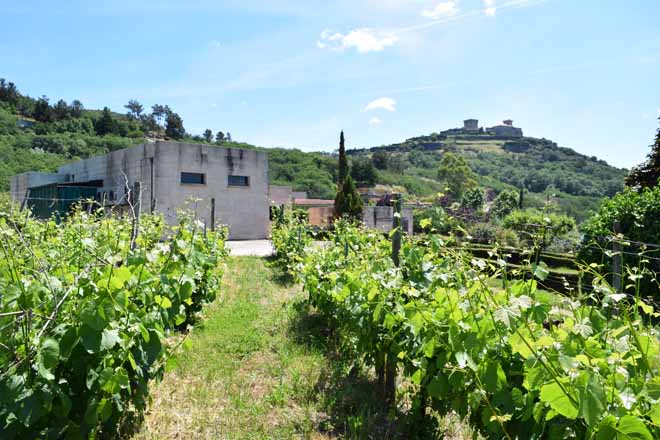 Destacadas puntuacións para 29 viños de Monterrei na Guía Peñín 2019