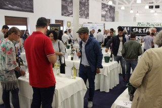 Cata concurso e túnel de viños en Rías Baixas