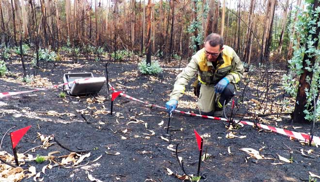 Un membro dos equipos de investigación traballando en determinar as causas dun incendio forestal