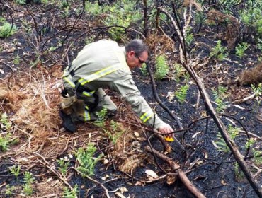 Collido ‘in fraganti’ un suposto incendiario no concello lugués de Castroverde
