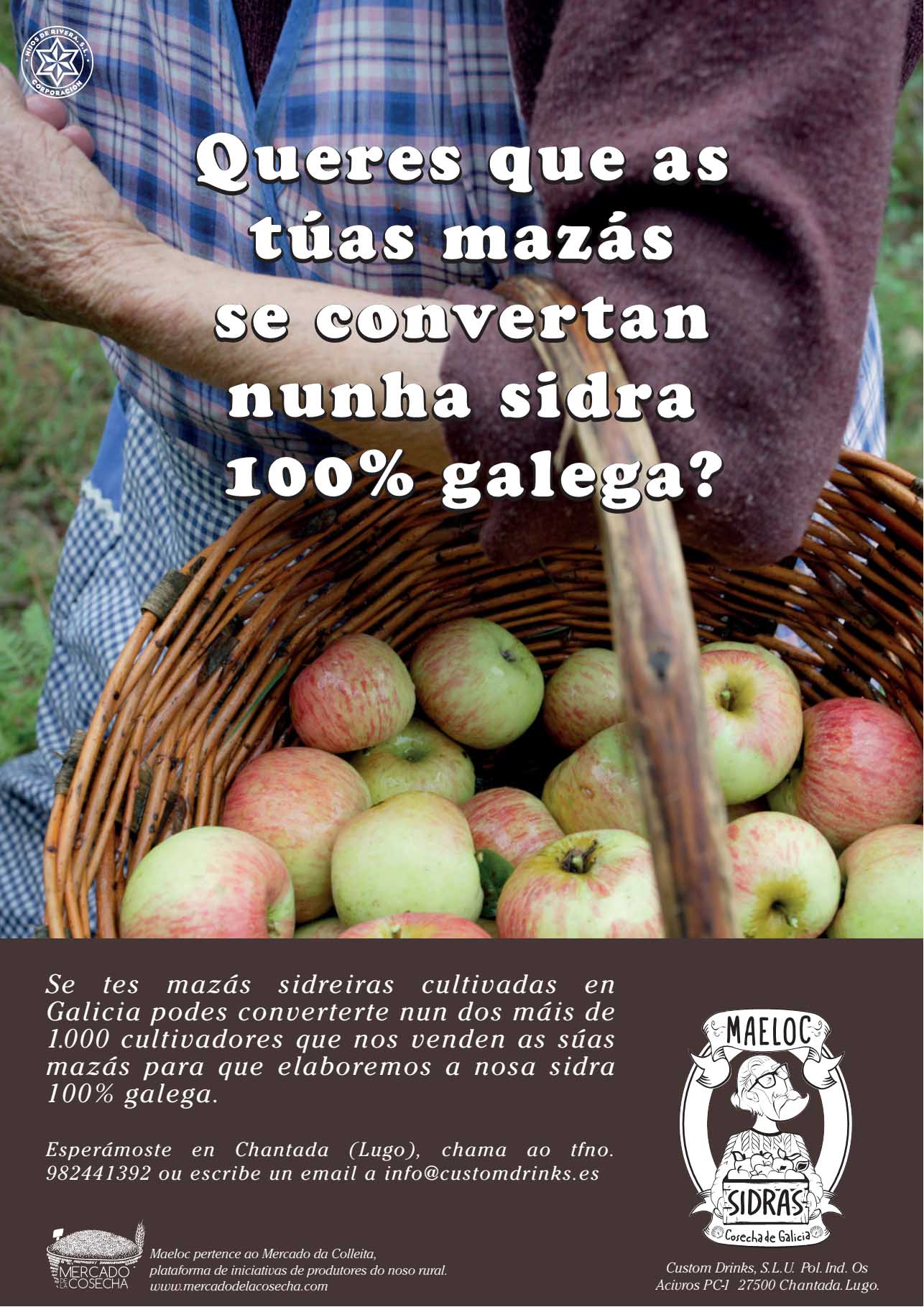 Estrella Galicia busca produtores de mazá de sidra en Galicia