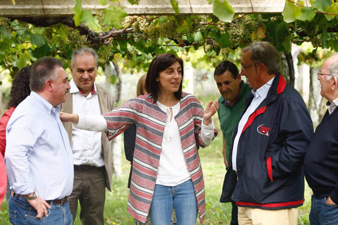 A IXP  “Viños Ribeiras do Morrazo” xa conta con recoñecemento en España
