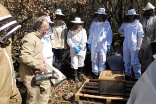 Xornada técnica de apicultura o vindeiro sábado en Celanova