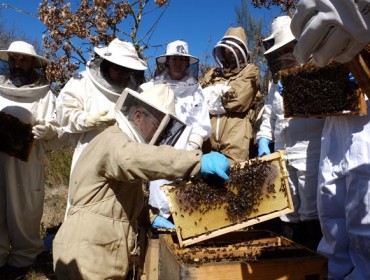 Curso na Gudiña sobre manexo do apiario e identificación e tratamento das enfermidades nas colmeas
