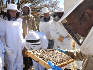 A próxima semana celébrase un curso de iniciación a apicultura en Becerreá