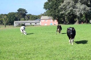 Prioridades de Coag para o sector agrario e gandeiro no ano 2017