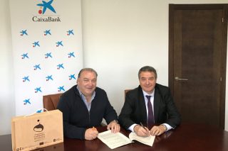 CaixaBank financiará novas plantacións de castiñeiros en Galicia