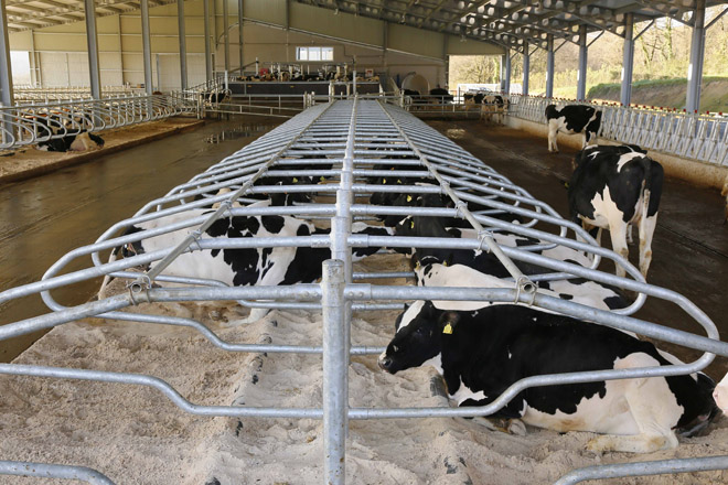 As areas Q-bed para cama de vacas optan ao premio GrandAgro Innova 2017