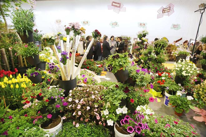 O sector da xardinaría e da planta ornamental cítase o 4 e 5 de marzo en Tomiño
