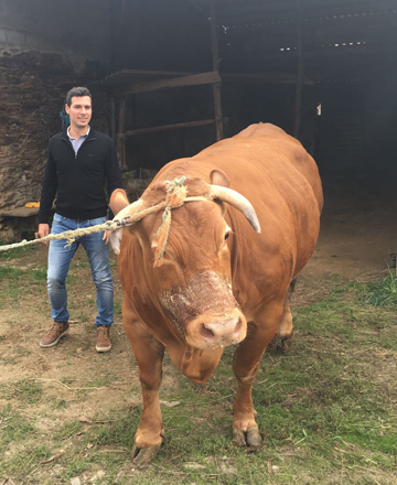 “Compramos en Galicia a Moura e Roxa, dúas vacas únicas, por 15.000 euros”