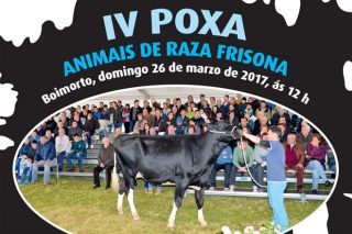 Catálogo das vacas de raza Frisona que se poxarán o domingo en Boimorto
