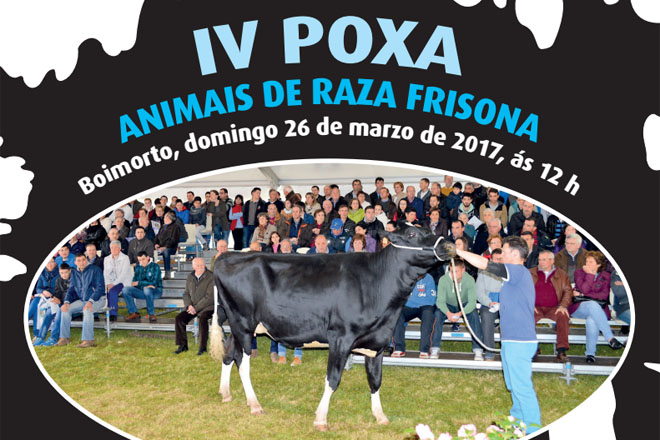 Catálogo de las vacas que se subastarán el domingo en Boimorto