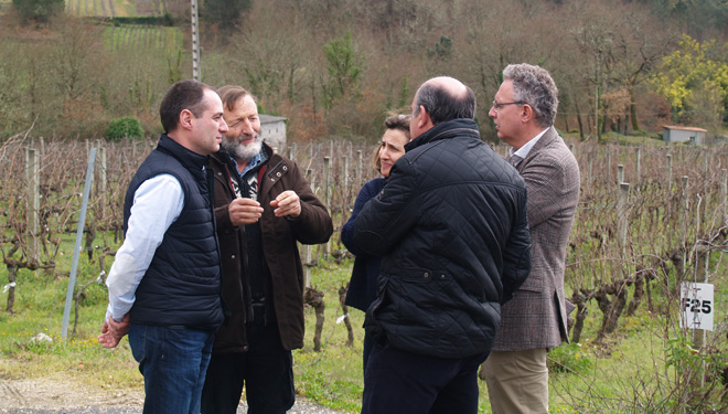 A Evega organizará en xuño o “I Encontro de Viticultura Galicia-Norte de Portugal”