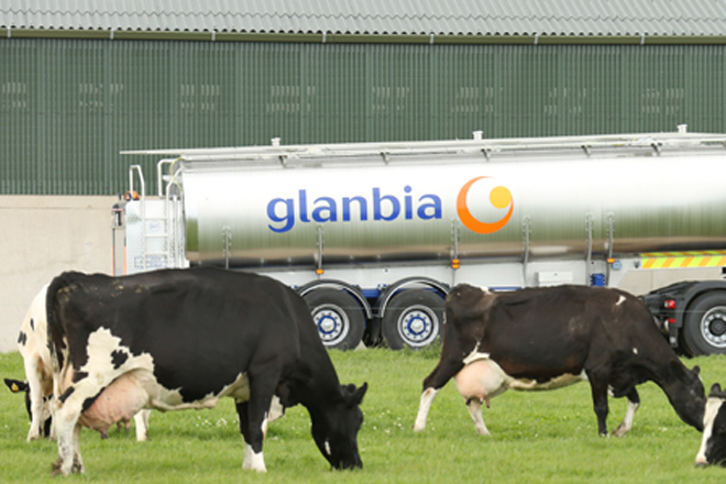 A cooperativa irlandesa Glanbia apoia financeiramente aos seus socios para incrementar a produción de leite